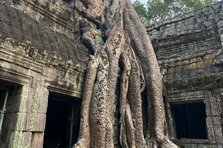 Tour de friends - Discover Angkor Wat Full Day Bike Tour
