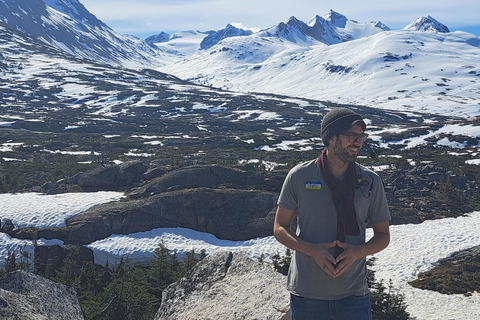 From Skagway: White Pass Summit Guided Bus Tour
