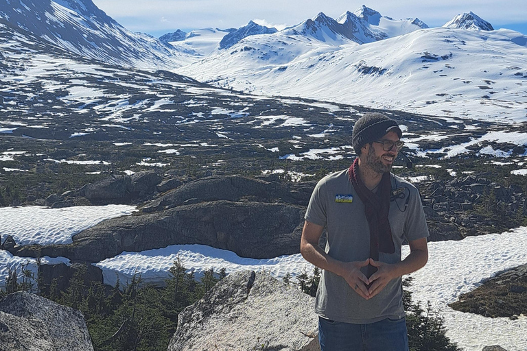 From Skagway: White Pass Summit Guided Bus Tour