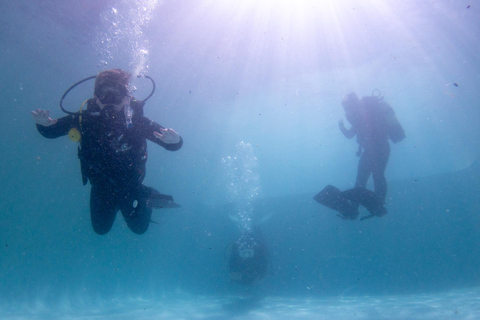 Cape Town: Discover Scuba Diving - 1 day experience