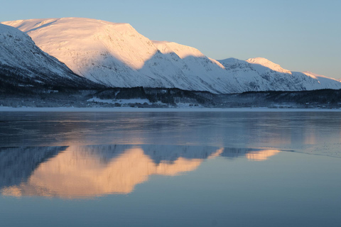 Tromsø: Rejs arktycznym fiordem wśród polarnych krajobrazów