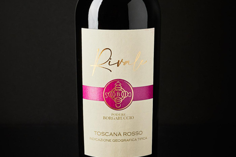 Peccioli: Wine tasting experience