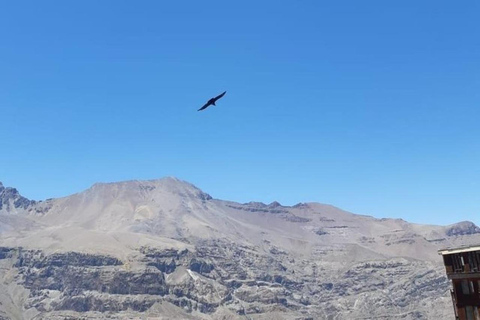 Santiago : Observation des condors à l&#039;Andes et au village d&#039;artisans