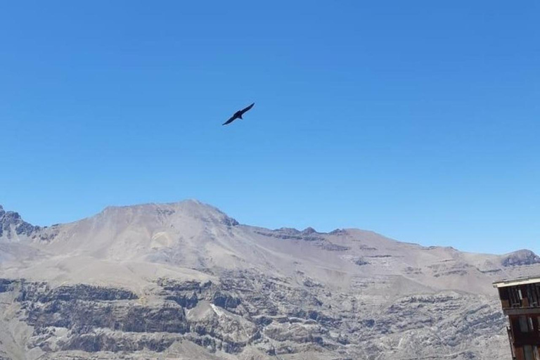 Santiago : Observation des condors à l&#039;Andes et au village d&#039;artisans
