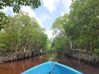 Celestún, vieja hacienda de sal y día de la playa - Housity