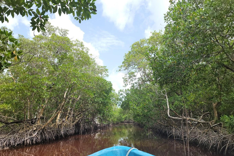 From Merida: Celestún biosphere, boat ride, and Beach day Celestún biosphere, boat ride, mangroves and beach day