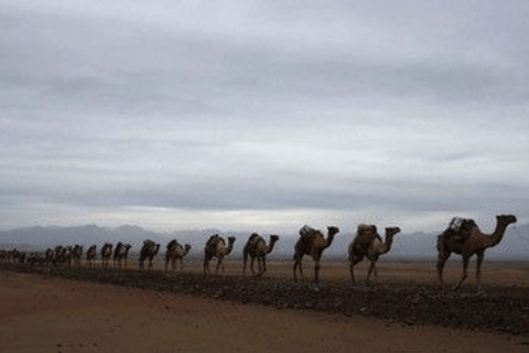 3-Day Danakil Depression : Dallol, Erta Ale & Salt Flats