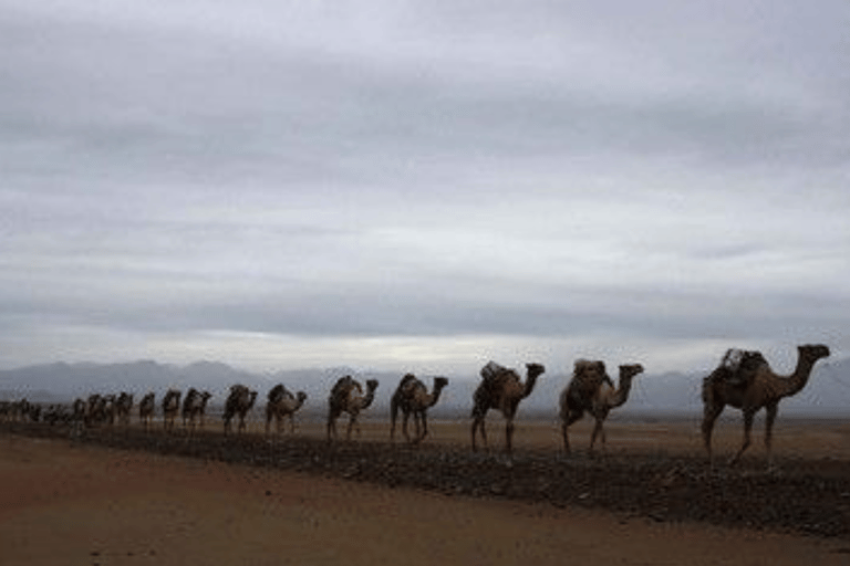 3-Day Danakil Depression : Dallol, Erta Ale & Salt Flats