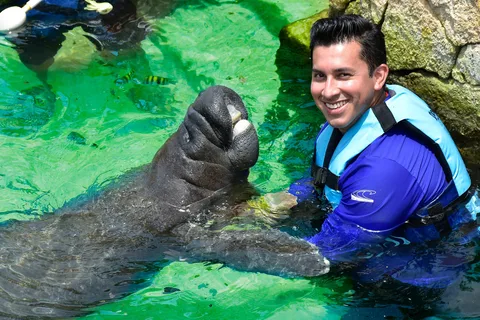 Rencontre avec des lamantins sur Isla Mujeres avec déjeuner buffet