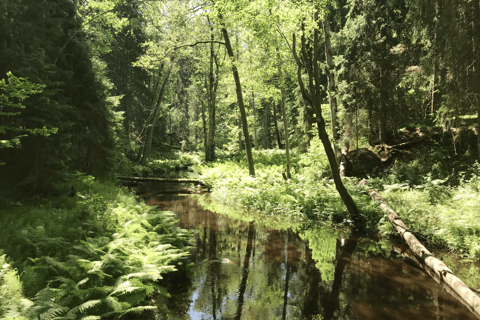 The Estonian Day Retreat at Lahemaa National Park