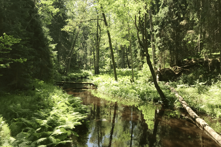 The Estonian Day Retreat at Lahemaa National Park