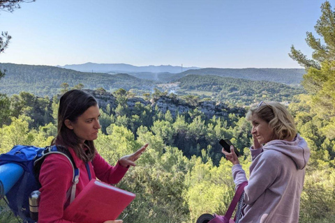 From Tholonet to the Bibémus quarries: Cézanne Hike