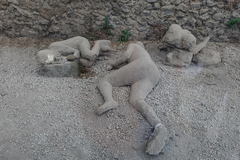 From Naples: Pompeii Shore Excursion for Cruisers with Guide From Pompeii: Guided Tour + Entry Ticket