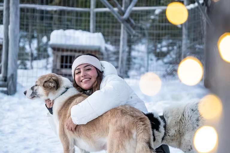 Rovaniemi: Meet Vasco Husky & Enjoy Sled Ride at Husky Farm ⭐ Winter Husky Adventure with Vasco | Jan 1 – Mar 31