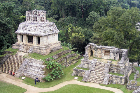 Palenque: zwiedzanie z przewodnikiem