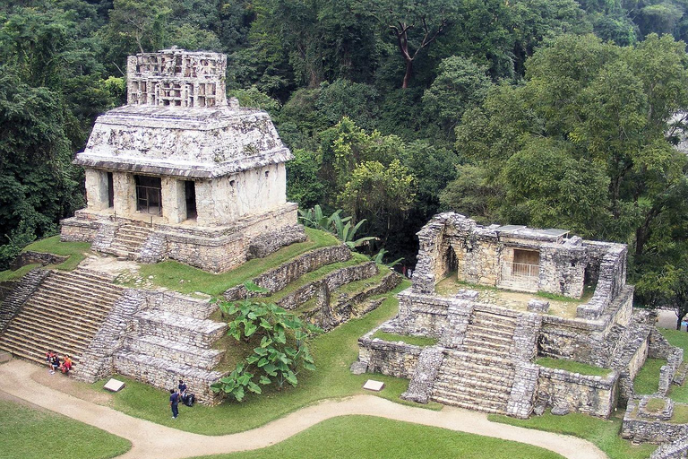 Palenque: zwiedzanie z przewodnikiem