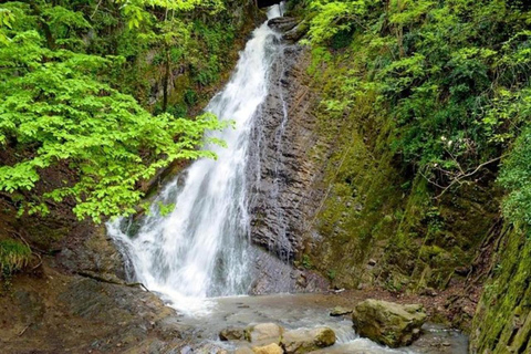 Baku: Shamakhi & Gabala Nature & Culture Private Day Tour