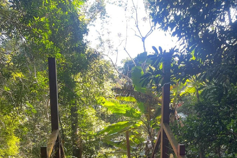 海南：亚湖梯田、黎族祠堂与徒步之旅海南：亚湖梯田、李氏宗祠与徒步之旅