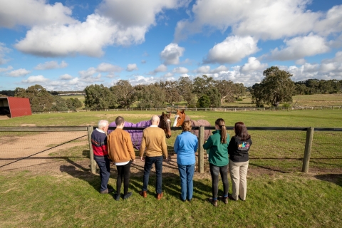 Melbourne : Visite d'une journée complète sur les chevaux, le vin et la bièreOption standard