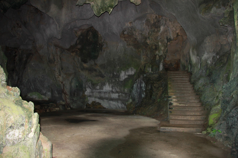 Half Day Hiking to Cat Ba National Park with a Guide