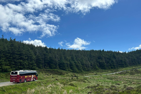 From Dublin: Wicklow Mountains & Glendalough Guided Tour