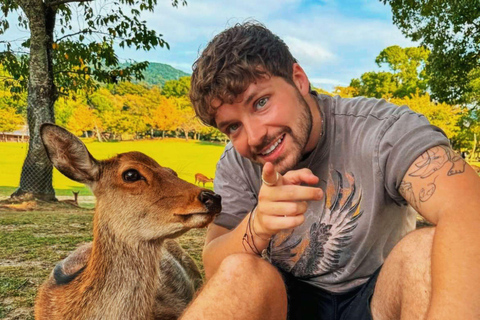 Quioto/Nara/Osaka: Excursão personalizada com pontos turísticos e serviço de busca no hotelKYOTO &amp; Nara: Excursão personalizada com serviço de busca no hotel