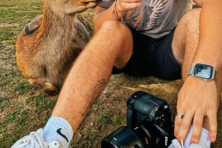 Quioto/Nara/Osaka: Excursão personalizada com pontos turísticos e serviço de busca no hotelKYOTO &amp; Nara: Excursão personalizada com serviço de busca no hotel