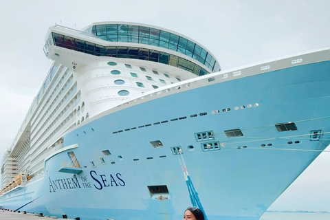 Bali: Shore Excursion for Cruise Passengers from Benoa Port Private shore excursion (No Ticket)