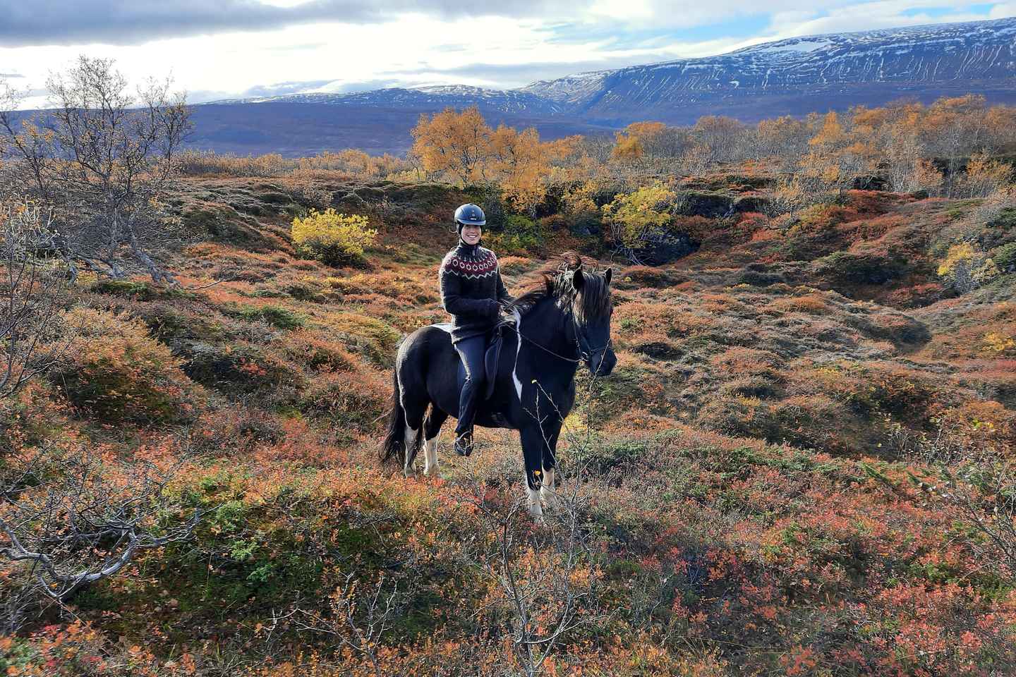 Norte de Islandia: Tour a Caballo