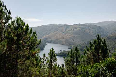 Porto: nuoto, escursioni, picnic nel Parco Nazionale di Gerês
