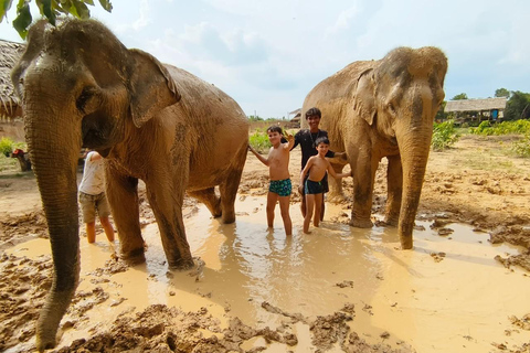 Siem Reap: Elephant Sanctuary Cambodia, Pickup and Drop Off