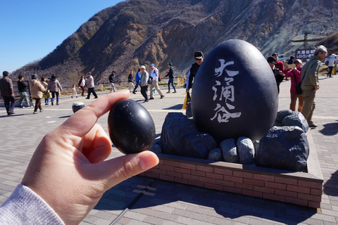 Stunning Views of Mt. Fuji & Hakone Day Trip From Tokyo