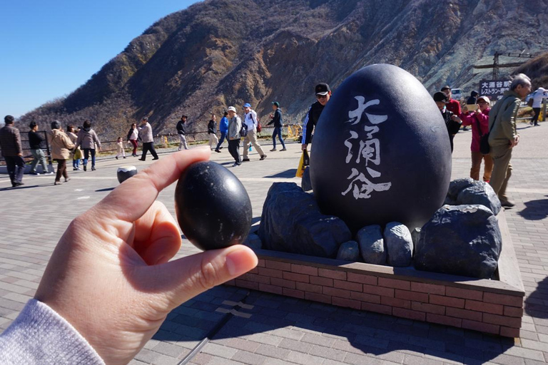 Stunning Views of Mt. Fuji & Hakone Day Trip From Tokyo