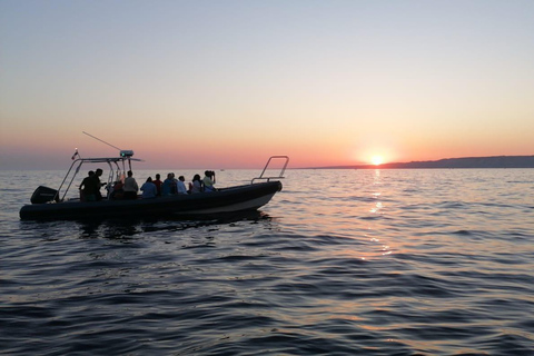 Marsella: Tour en barco por el puerto viejo y lo más destacado de la ciudad