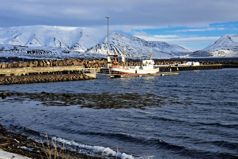 Akureyri: 4-Day Knitting Tour with the locals