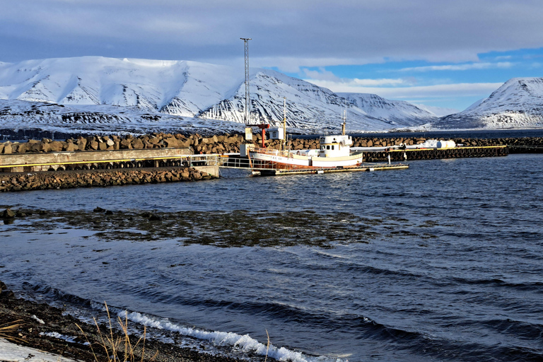 Akureyri: 4-Day Knitting Tour with the locals