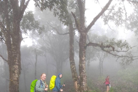 مغامرة لمدة 2-3 أيام في شيانغ ماي: قبائل التلال والفيلة والنهر2 أيام 1 ليلة واحدة: الحياة المحلية ورعا
