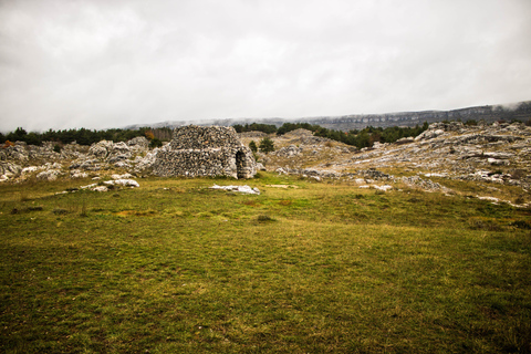 Martina Franca: Masseria Tour with Pasta & Mozzarella Class