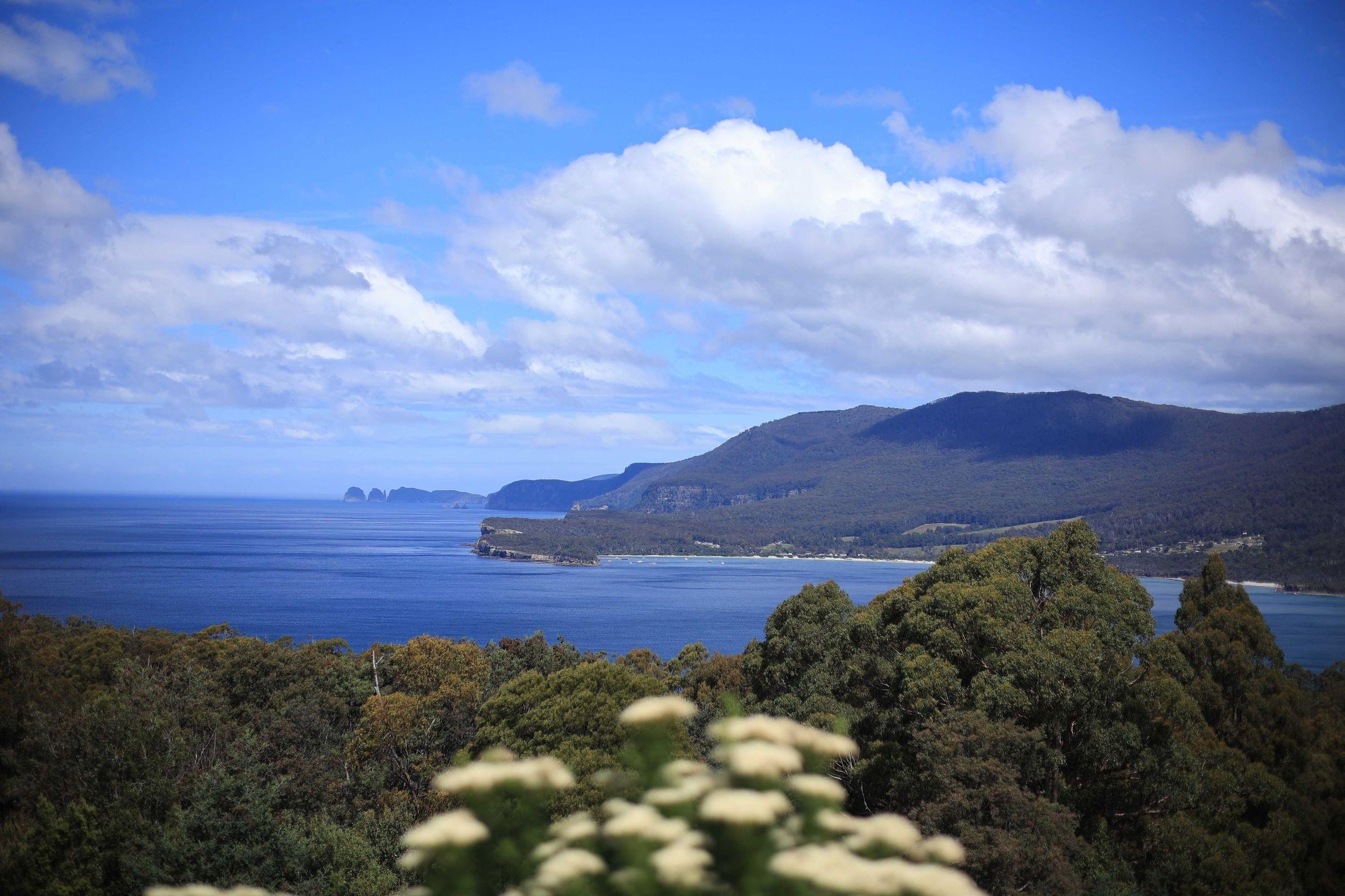 Tasman-Halbinsel: Kleine Gruppenführung ab Hobart
