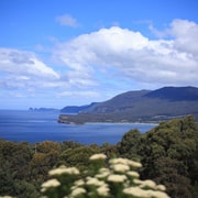 Tasman Peninsula Small-Group Guided Tour From Hobart