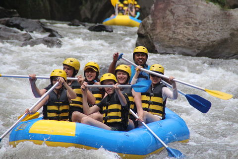 Bali: White Water Rafting and ATV Adventure with Lunch