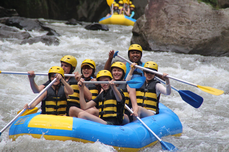 Bali: White Water Rafting and ATV Adventure with Lunch