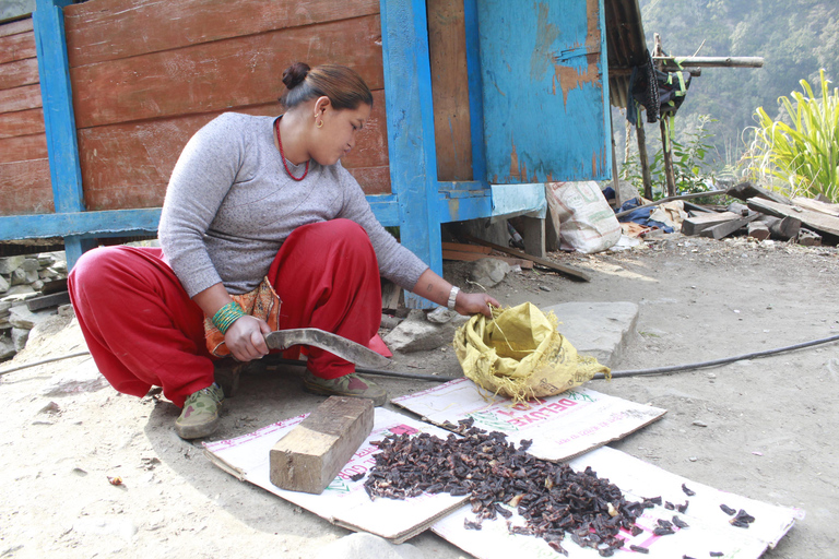 Nepal: 13-daags avontuur met Annapurna Trek &amp; Jungle Safari