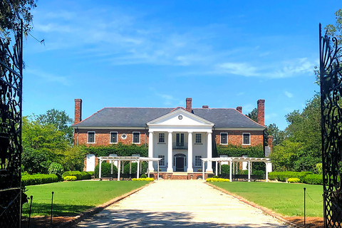 Charleston: Boone Hall Plantation Tour