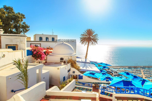 Ab Hammamet: Private Tagestour nach Karthago & Sidi Bou Saïd