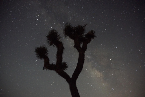 Tour al parco nazionale di Joshua Tree da Los Angeles