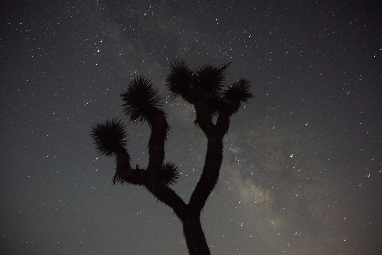 Wycieczka do parku narodowego Joshua Tree z Los Angeles