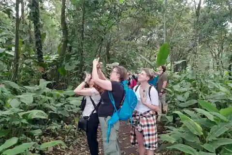 Daytime Hike in Tortuguero National Park **BEST HIKING**