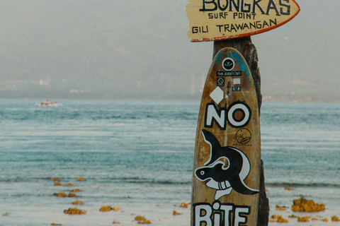 Gili Trawangan : Biking, Horse Riding, Paddle Boat & Sunset