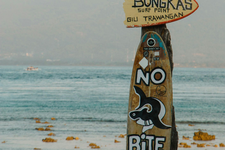 Gili Trawangan : Biking, Horse Riding, Paddle Boat & Sunset